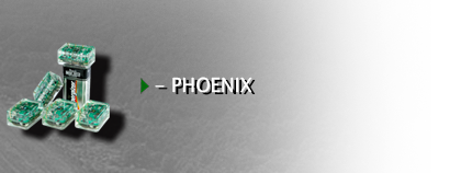 phoenix