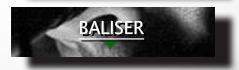 baliser